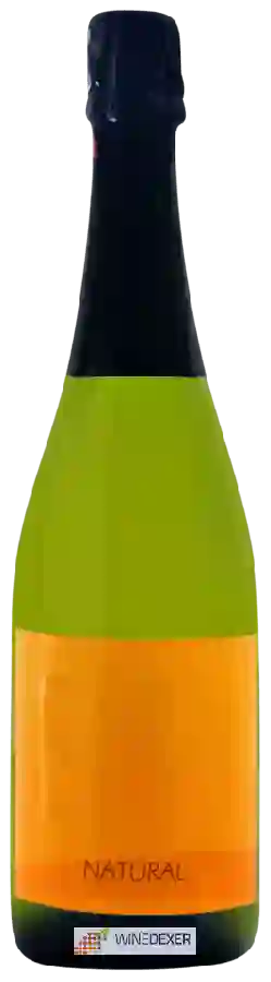 Weingut SIN Project - Xarel-lo Brut Nature Weingut SIN Project - Xarel-lo Brut Nature