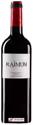 Weingut Sinforiano - Raimun 5 Meses Barrica