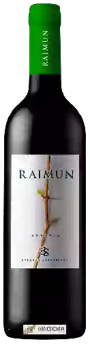 Weingut Sinforiano - Raimun Verdejo