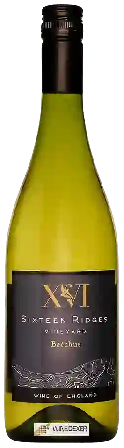 Weingut Sixteen Ridges Vineyard - Bacchus
