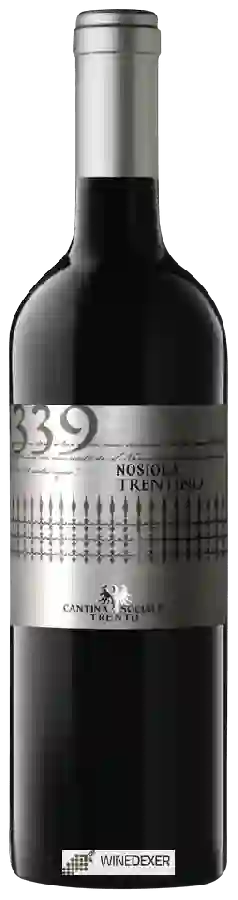 Weingut Cantina Sociale Trento - 1339 Nosiola Weingut Cantina Sociale Trento - 1339 Nosiola