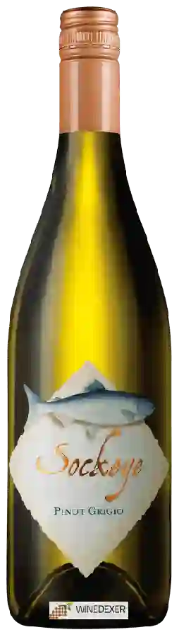 Weingut Sockeye - Pinot Grigio Weingut Sockeye - Pinot Grigio