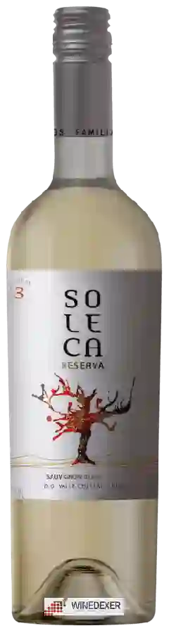 Weingut Soleca - Reserva Sauvignon Blanc Weingut Soleca - Reserva Sauvignon Blanc