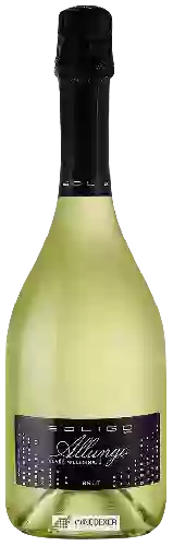 Weingut Soligo - Allungo Cuvée Millesimato Brut