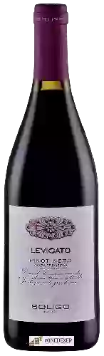 Weingut Soligo - Levigato Pinot Nero