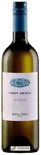 Weingut Soligo - Pinot Grigio