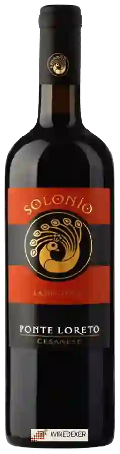 Weingut Solonio - Ponte Loreto Cesanese Weingut Solonio - Ponte Loreto Cesanese