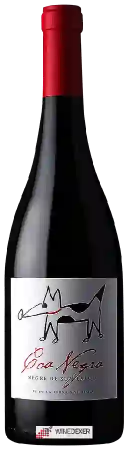 Weingut Son Palou - Coa Negra Negre Weingut Son Palou - Coa Negra Negre