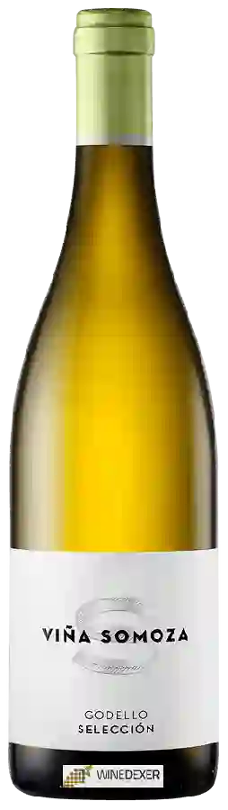 Weingut Viña Somoza - Selección Godello Weingut Viña Somoza - Selección Godello