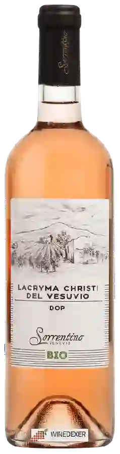 Weingut Sorrentino - Lacryma Christi del Vesuvio Rosato Weingut Sorrentino - Lacryma Christi del Vesuvio Rosato