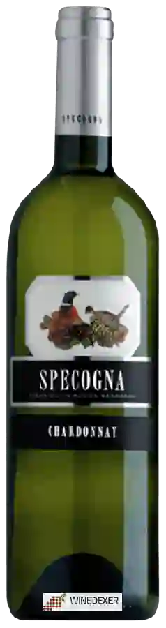 Weingut Specogna - Chardonnay Weingut Specogna - Chardonnay
