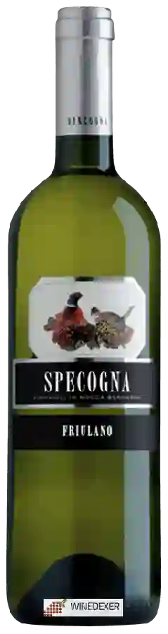 Weingut Specogna - Friulano Weingut Specogna - Friulano