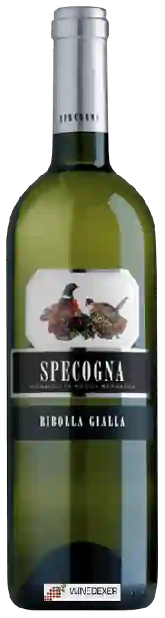 Weingut Specogna - Ribolla Gialla Weingut Specogna - Ribolla Gialla