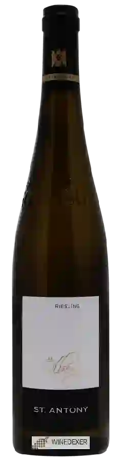 Weingut St. Antony - Ölberg Riesling Weingut St. Antony - Ölberg Riesling