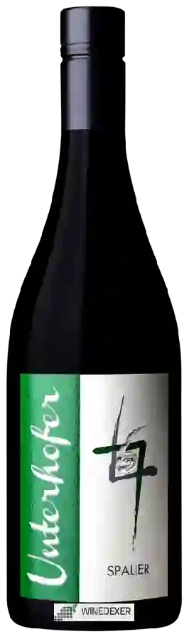 Weingut St Magdalener - Spalier Weingut St Magdalener - Spalier