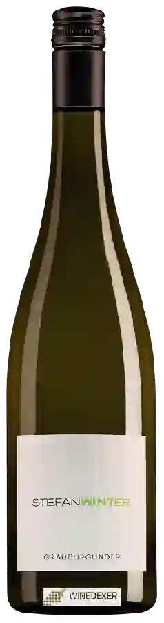 Weingut Stefan Winter - Grauburgunder Weingut Stefan Winter - Grauburgunder