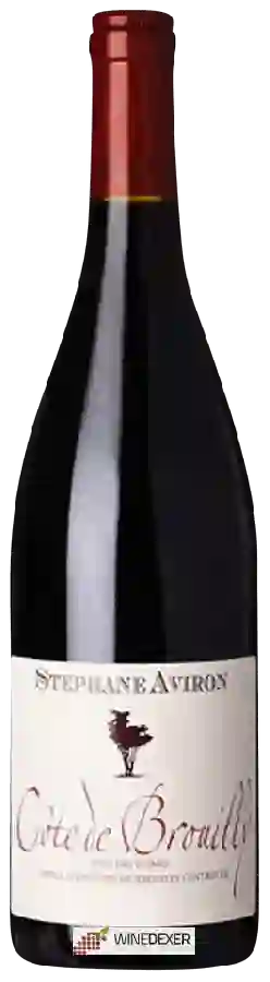 Weingut Stéphane Aviron - Vieilles Vignes Côte de Brouilly