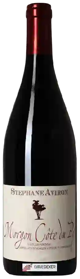 Weingut Stéphane Aviron - Vieilles Vignes Morgon Côte du Py Weingut Stéphane Aviron - Vieilles Vignes Morgon Côte du Py