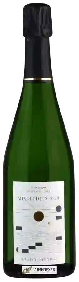 Weingut Stéphane Regnault - Mixolydien N°29 Champagne Grand Cru 'Oger'
