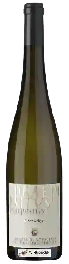 Weingut Abbazia di Novacella (Stiftskellerei Neustift) - Praepositus Pinot Grigio Weingut Abbazia di Novacella (Stiftskellerei Neustift) - Praepositus Pinot Grigio