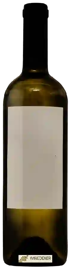 Weingut Stina - Po&scaronip