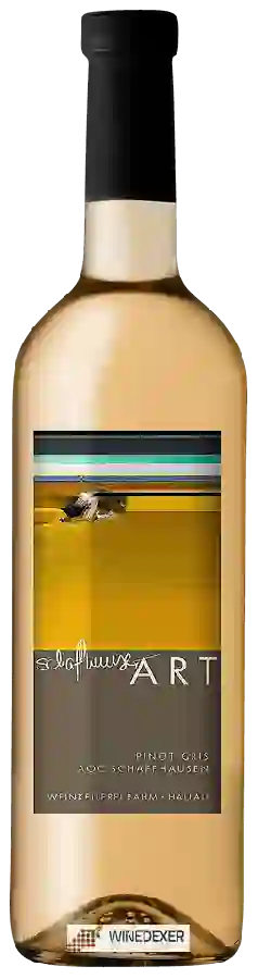 Weingut Strada - Weinkellerei Rahm - Schaffhuuser Art Pinot Gris