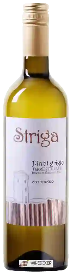Weingut Striga - Pinot Grigio Weingut Striga - Pinot Grigio