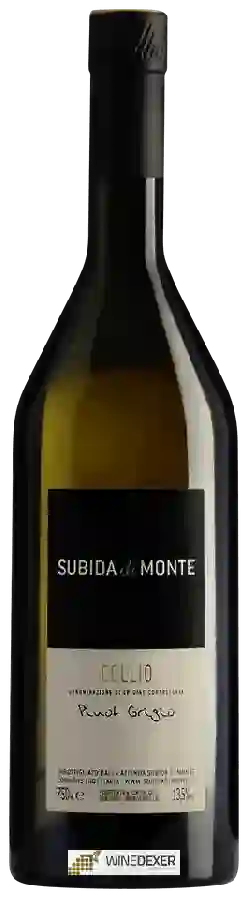 Weingut Subida di Monte - Pinot Grigio