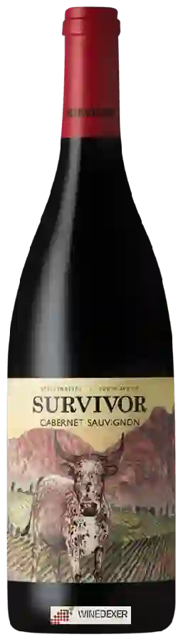 Weingut Survivor - Cabernet Sauvignon