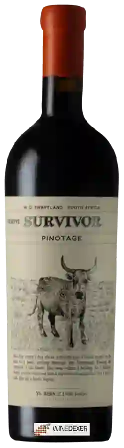 Weingut Survivor - Reserve Pinotage