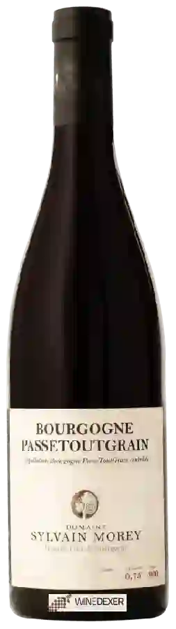 Domaine Sylvain Morey - Bourgogne Passetoutgrains Domaine Sylvain Morey - Bourgogne Passetoutgrains