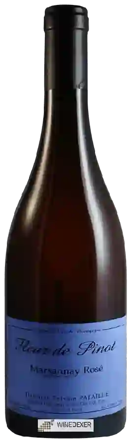 Weingut Sylvain Pataille - Fleur de Pinot Marsannay Rosé
