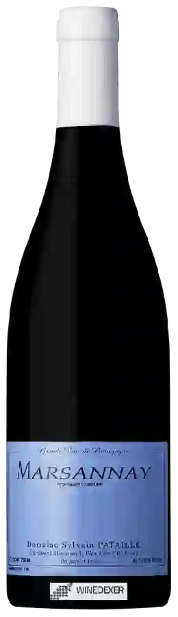 Weingut Sylvain Pataille - Marsannay Weingut Sylvain Pataille - Marsannay