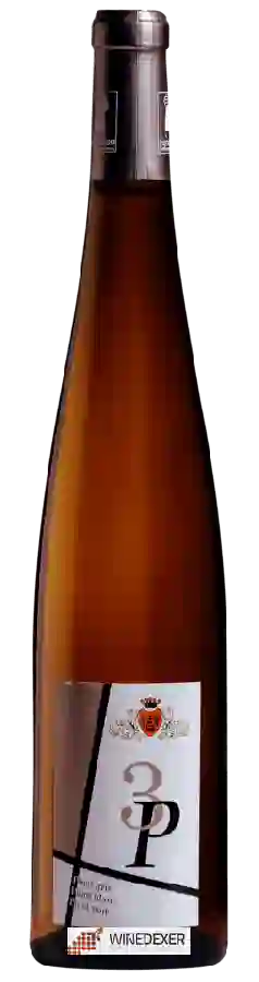 Weingut Sylvie Fahrer - 3P Weingut Sylvie Fahrer - 3P