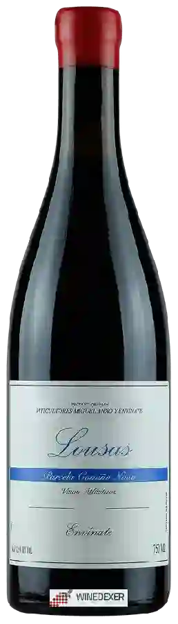 Weingut Envínate - Lousas Parcela Cami&ntildeo Novo