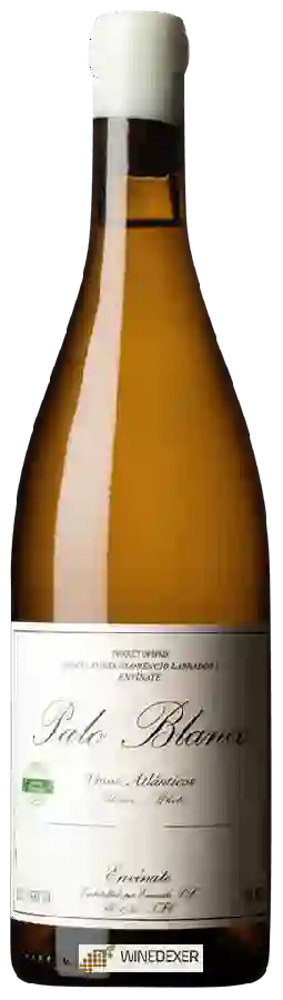 Weingut Envínate - Palo Blanco