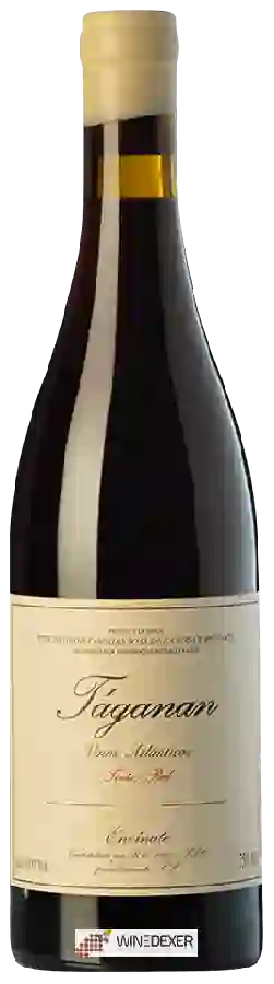 Weingut Envínate - Táganan Tinto Weingut Envínate - Táganan Tinto