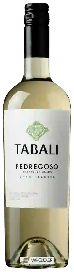Weingut Tabali - Pedregoso Gran Reserva Sauvignon Blanc