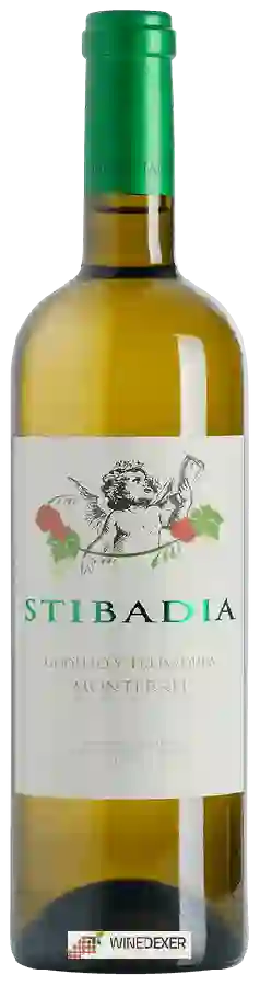 Weingut Tabu Slne - Stibadia Godello - Treixadura Weingut Tabu Slne - Stibadia Godello - Treixadura