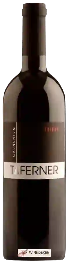 Weingut Taferner - Tribun Weingut Taferner - Tribun