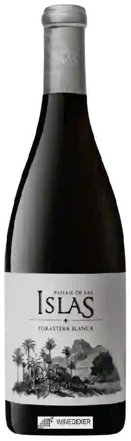 Weingut Tajinaste - Paisaje de las Islas Forastera Blanca