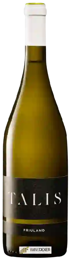 Weingut Talis - Friulano Weingut Talis - Friulano