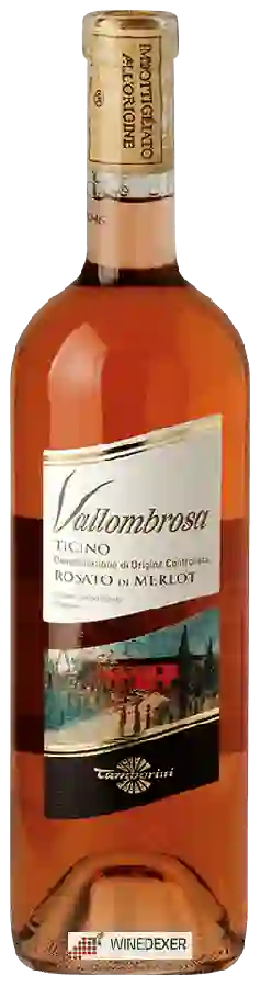 Weingut Tamborini Carlo - Vallombrosa Rosato di Merlot Weingut Tamborini Carlo - Vallombrosa Rosato di Merlot