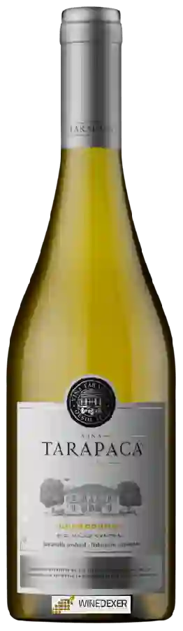 Weingut Tarapacá - Chardonnay