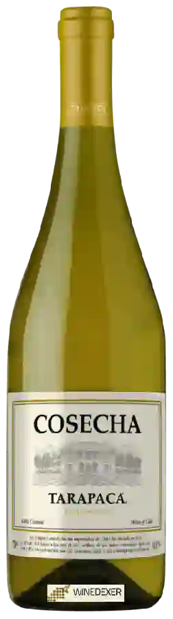 Weingut Tarapacá - Cosecha Chardonnay Weingut Tarapacá - Cosecha Chardonnay