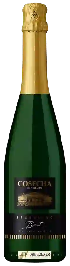 Weingut Tarapacá - Cosecha de Naltahua Brut Weingut Tarapacá - Cosecha de Naltahua Brut