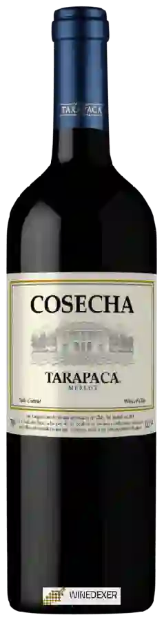Weingut Tarapacá - Cosecha Merlot