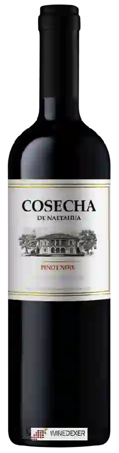Weingut Tarapacá - Cosecha Pinot Noir