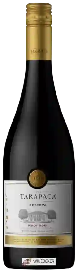 Weingut Tarapacá - Reserva Pinot Noir Weingut Tarapacá - Reserva Pinot Noir