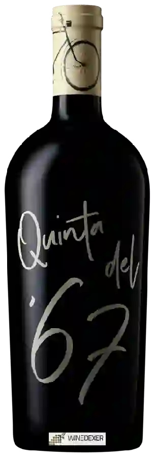 Weingut Volver - Quinta del 67 Crianza Weingut Volver - Quinta del 67 Crianza